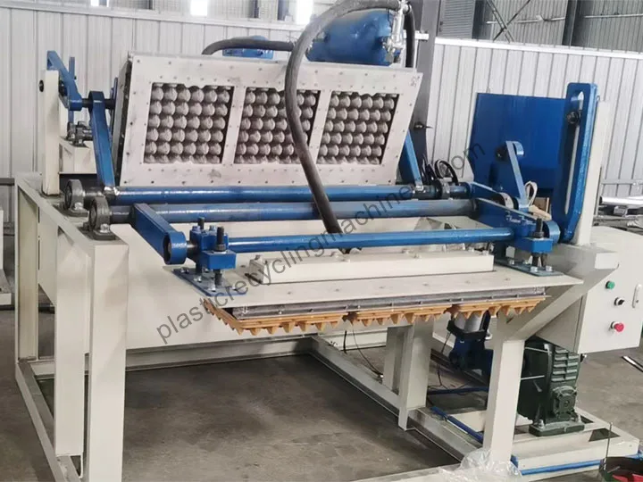 1000 pcs/h egg tray machine