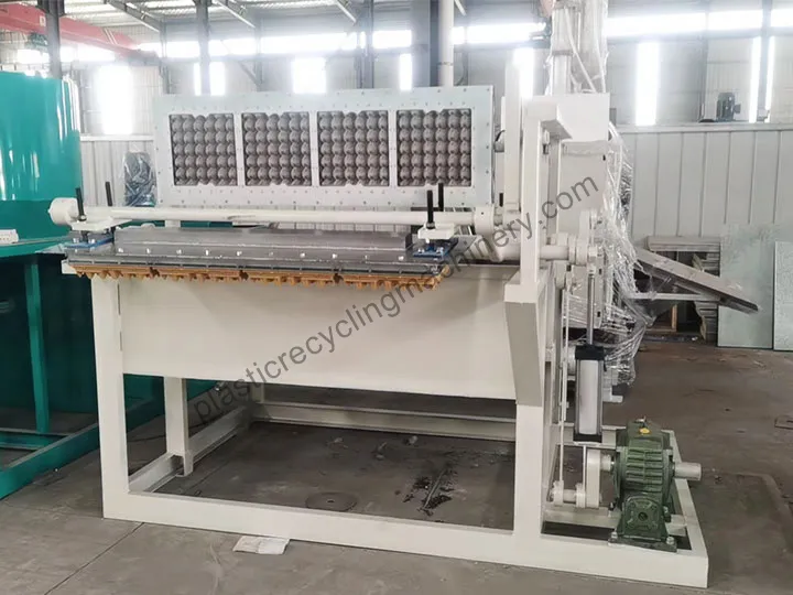 1500 pcs/h egg tray molding machine