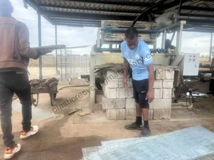 3×1 Egg Tray Machine in Zambia