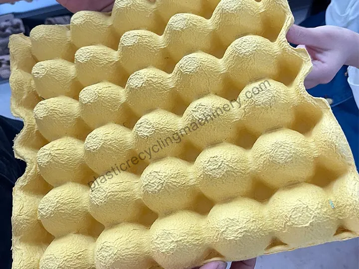Dried Egg Trays