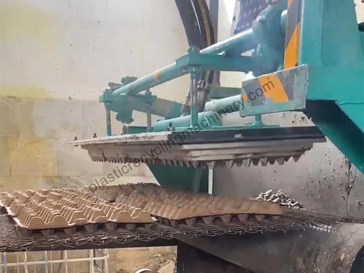 Egg Tray Production