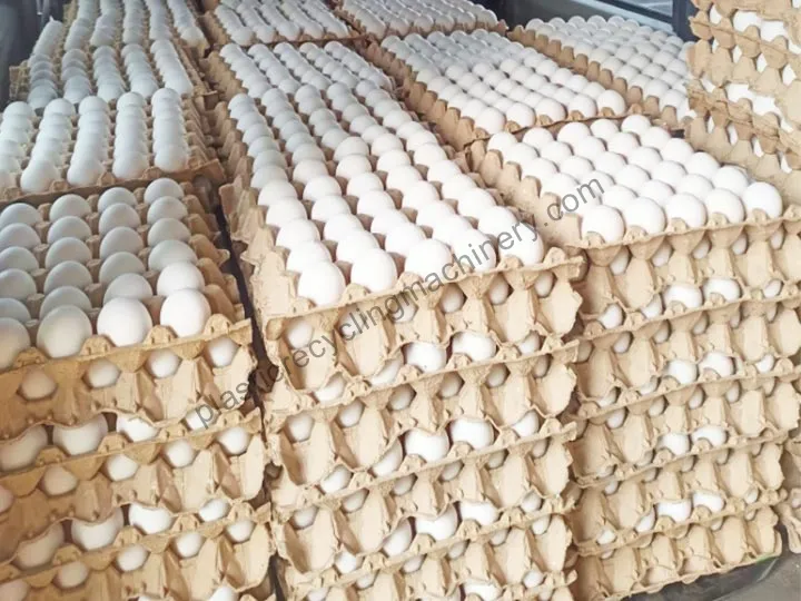 Egg Tray for Egg Transport