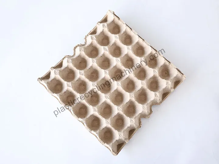 Egg Trays