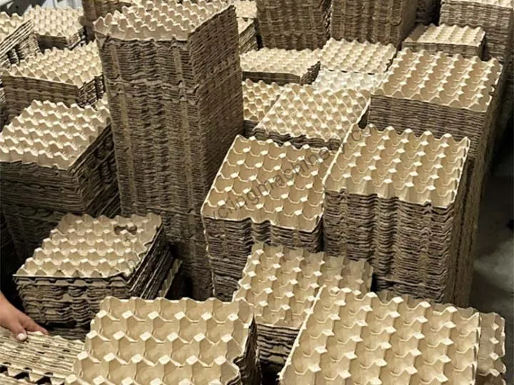 Egg Trays After Hot Pressing