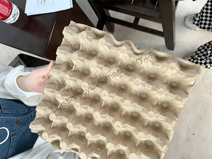 Egg Trays After Pressing