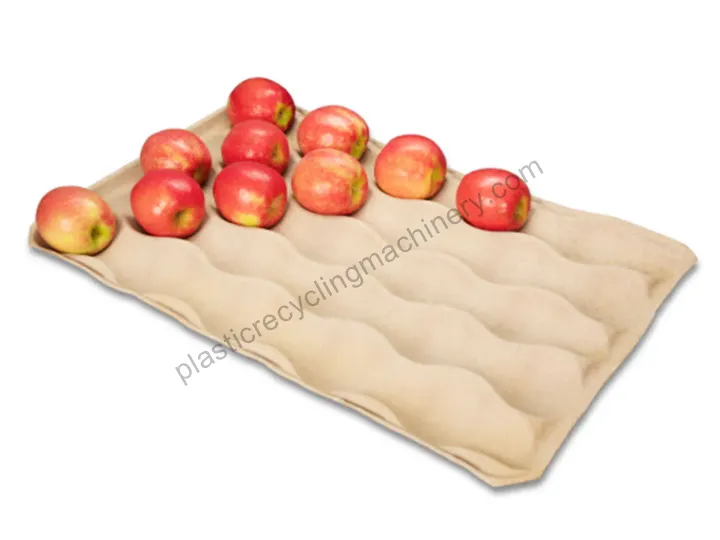 Fruit Tray Production