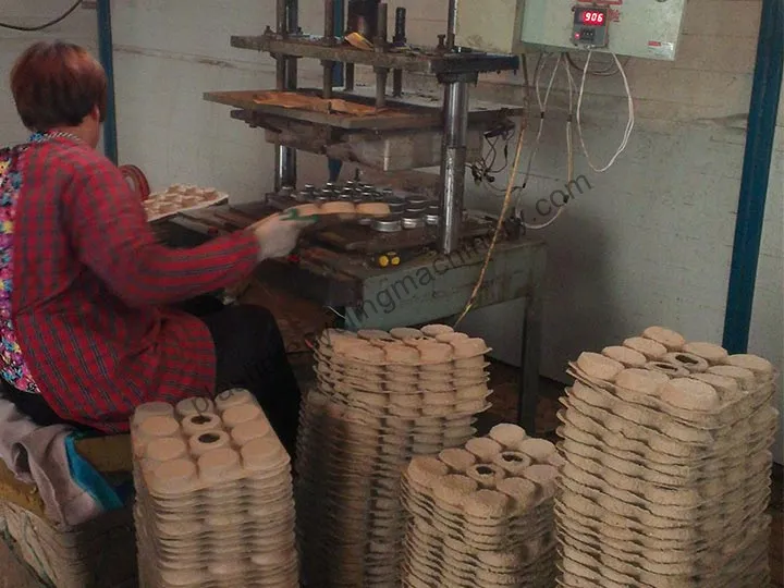 Pulp Tray Hot Press Machine