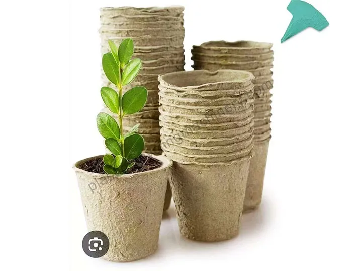 Seedling Tray