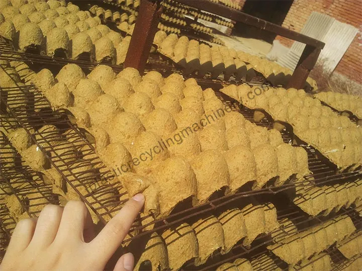 Wet Egg Trays