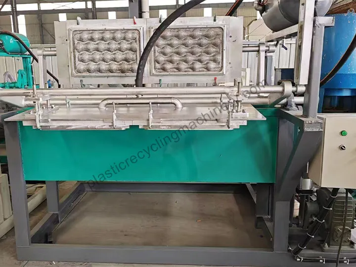 fruit tray making machine