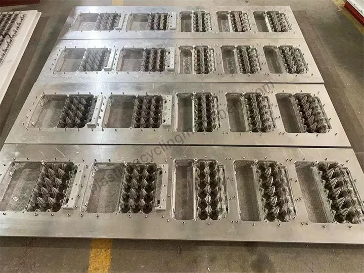Egg Carton Mold