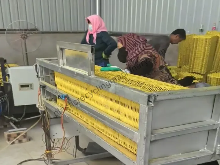 Egg Tray Packing Process