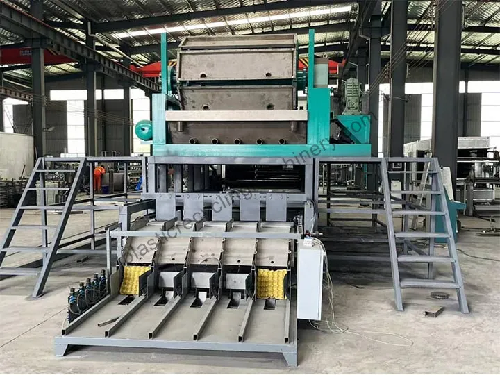 automatic egg tray machine