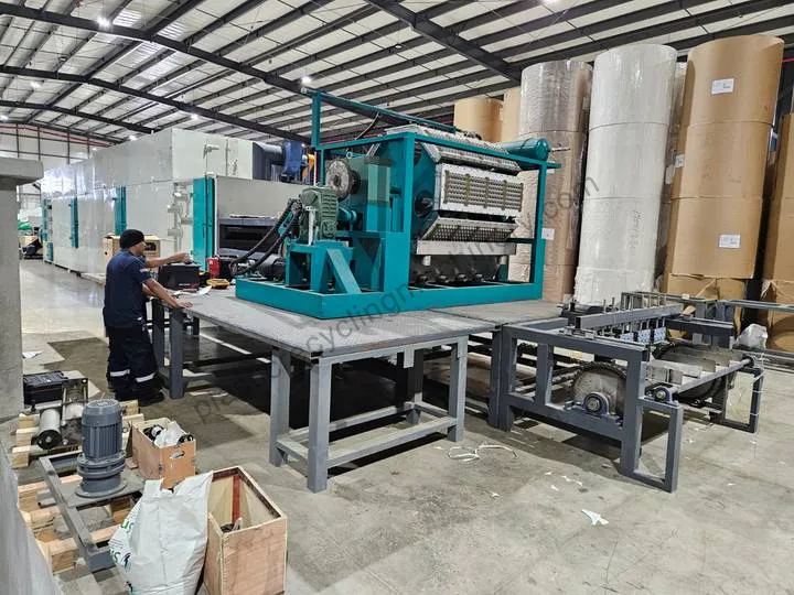 egg tray manufacturing plant