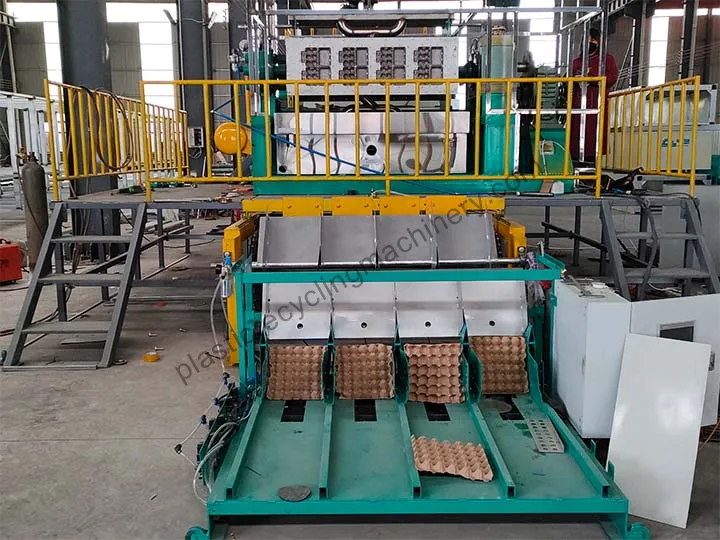 egg tray production line